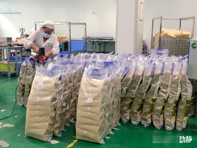 同心战疫时丨惠水、长顺 企业开足马力保生产 筑牢粮食安全“压舱石”——聚焦玉米稳产保供